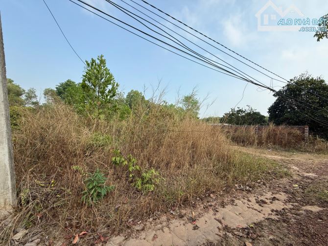 Cần Bán 3.244m2 ĐẤT, ngang 52,6m tại xã Thanh An, huyện Dầu Tiếng, tỉnh Bình Dương - 2