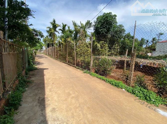 Đất hẻm Thế Lữ phường Tân Hoà mặt tiền đường bê tông - 2