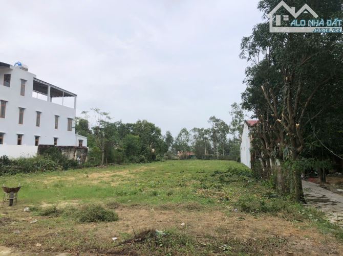 Bán Gấp Đất Vàng Hội An – 1.779m² Mặt Tiền Trần Thủ Độ – Giá Chỉ 45 Tỷ! - 2