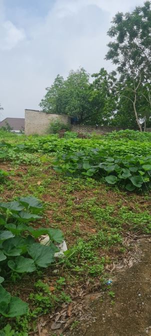Bán đất trung tâm thị Trấn Kép, Lạng Giang - Bắc Giang. 638m2 - MT 20m. Giá 3,3tỷ - 2