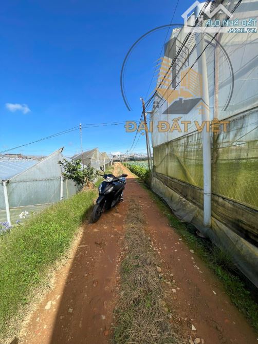 🌿 BÁN ĐẤT NÔNG NGHIỆP VIEW THOÁNG – P.8 ĐÀ LẠT - 4.5 TỶ - 2