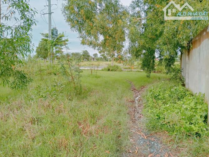 🏡 CHỦ GỬI BÁN GẤP ĐẤT 152M2 – ĐƯỜNG ĐINH ĐỨC THIỆN – 430 TRIỆU – SHR 🏡 - 2