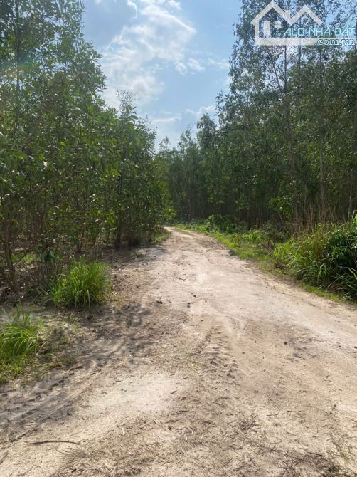 bán đất 8363m2 xã Tân Bình, Thị Xã LaGi, Bình Thuận. giá tốt chỉ 1,65 tỷ (197k/1m2) - 2