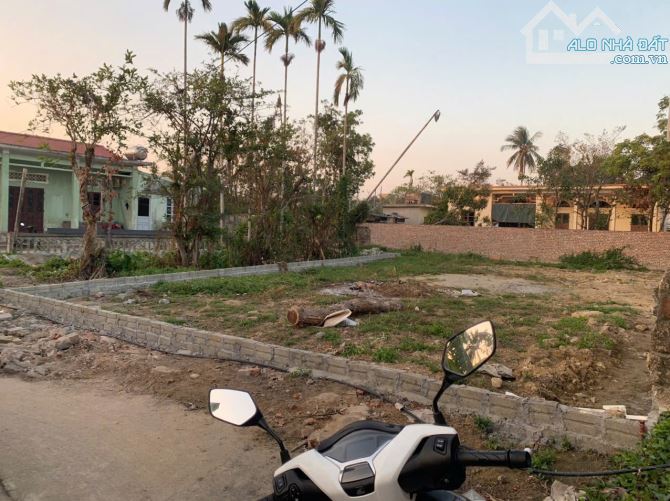 ✅Đất Hà Đậu, Hồng Phong, rẻ nhất khu vực. 303m2. Giá 12tr/m - 2
