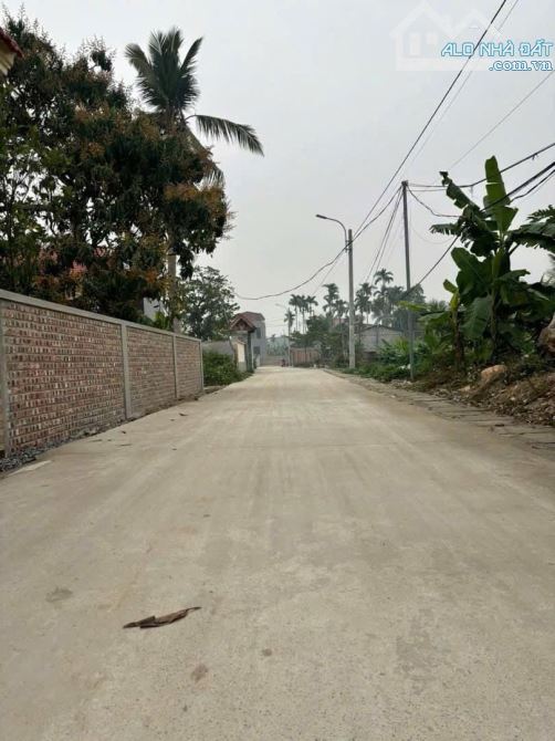 Bán 2 lô TDP Đường Đá - Phường Hoa Động gần dự án Hoàng Huy Green River giá 1,x tỷ - 3