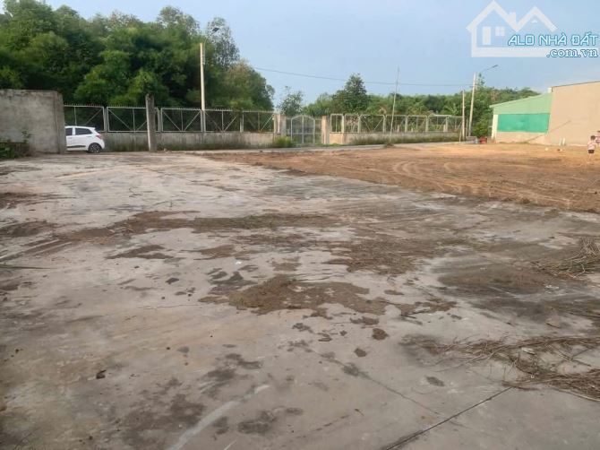 Chủ hạ giá, cần bán nhanh đất Phú An, Bến Cát (phường Phú An, Tp Hồ Chí Minh) - 3