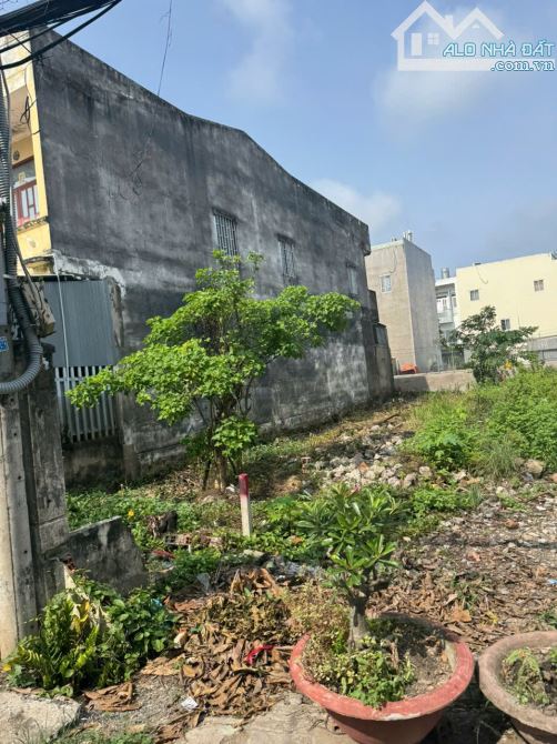 125,7m2 full thổ cư, xây dựng tự do.hẻm xe hơi 8m.tiện ích Chợ,Bách Hóa Xanh,FPT - 3