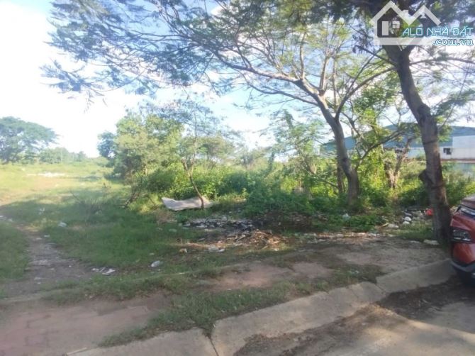 BÁN GẤP LÔ ĐẤT- LÀM KHO XƯỞNG 856M2- MẶT TIỀN ĐƯỜNG BÀ ĐIỂM-HÓC MÔN - 4