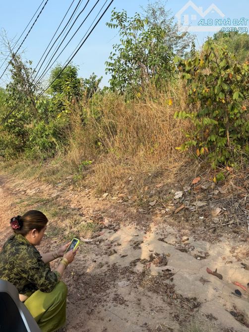 Cần Bán 3.244m2 ĐẤT, ngang 52,6m tại xã Thanh An, huyện Dầu Tiếng, tỉnh Bình Dương - 4