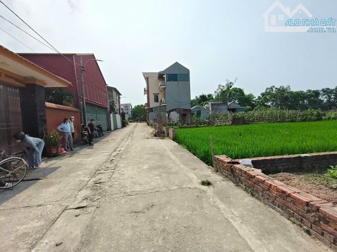 Đất giãn dân Đông Anh 5xtr/m2, rẻ hơn thị trường 20 giá - 4