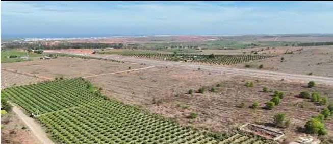 Cần sang nhượng khu đất gần 2ha, mặt tiền đường lớn TP Phan Thiết - 4