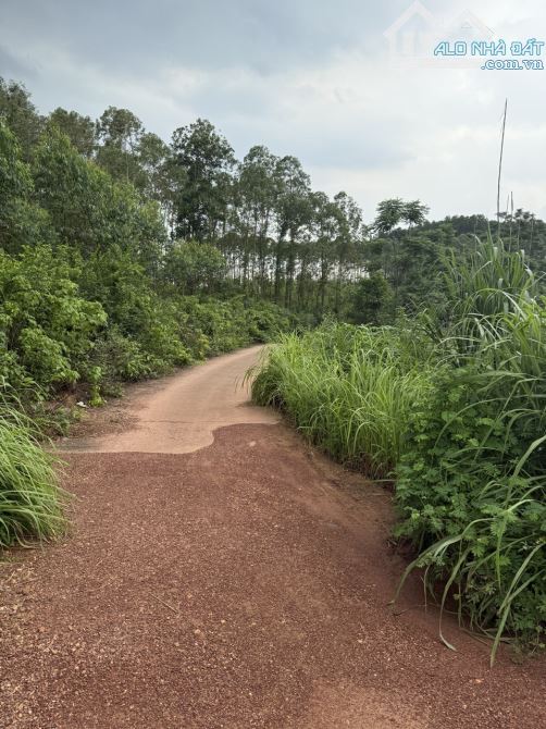 Bán Lô đất Thị Trấn Kép 115m , Mặt Tiền 5m. đường Ô tô tải vào đất. Giá chỉ 490 triệu - 5