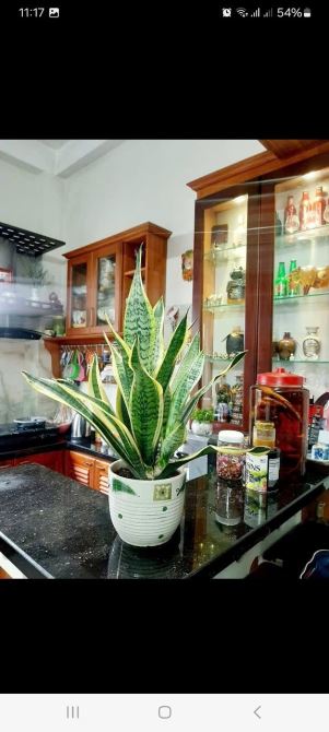 Bán nhà  Lý  Triện dt  105 m2 4tầng  ngang  5m  đường vào 7.5 giá chỉ 8.9 tỷ - 5
