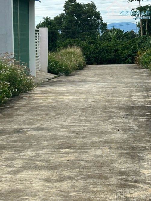 Cần bán lô đất đường QL 27, X.Liên Hiệp, Đức Trọng, Lâm Đồng 1,25tỷ - 5