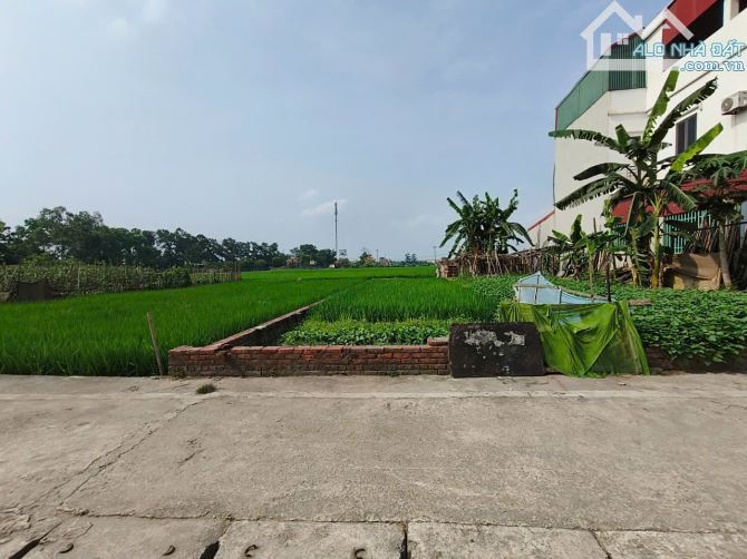 Đất giãn dân Đông Anh 5xtr/m2, rẻ hơn thị trường 20 giá - 5