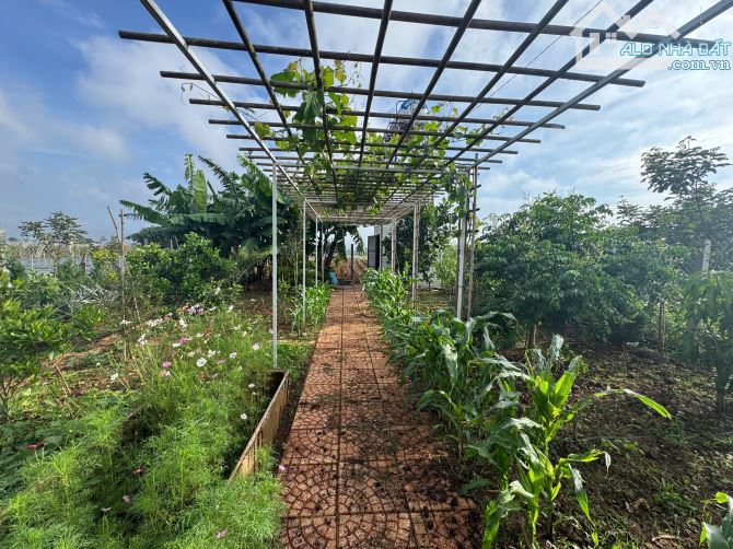 bán nhà sân vườn mạt tiền lớn Dt 12x50m tc200m2 giá 5,2ty - 5