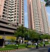 Bán mặt tiền Phạm Hữu Chí ngay Thuận Kiều Plaza (DT:5,8x13,5m, 2 lầu thang máy) quận 5