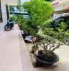 HÀNG ĐẸP GIÁ RẺ - NHÀ 2 TẦNG NGUYỄN ĐỨC TRUNG – DIỆN TÍCH KHỦNG – NGANG 10.5M – BÁN NHANH