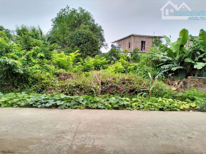 BÁN ĐẤT MINH TÂN-LƯƠNG TÀI -Ô TÔ CHẠY THÔNG -223M -NHỈNH 2 TỶ