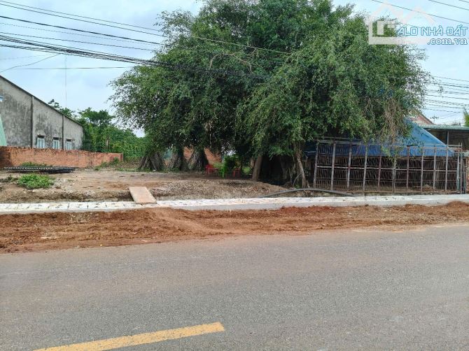 BÁN MẶT TIỀN 328 TÂN LÂM, XUYEN MỘC BÀ RỊA VŨNG TÀU, DY 1.1 HÉC GIÁ 38 TỈ, FULL HỒNG