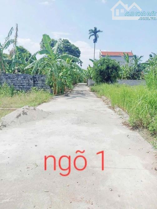 Bán đất giá Rẻ như cho 82,5m tại Sài Quất