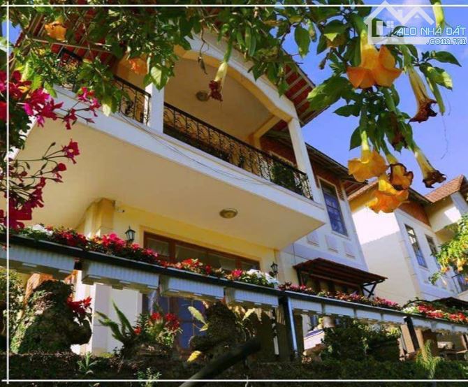 Bán nhà Trần Thái Tông, Phường 9, Đà Lạt – 1 trệt 1 lầu, sân đậu 3 ô tô, view đồi thông
