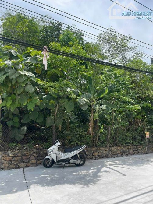🎯🎯ĐẤT MẶT TIỀN KIỆT 82 QUẢNG TẾ, PHƯỜNG THỦY XUÂN, TP HUẾ
