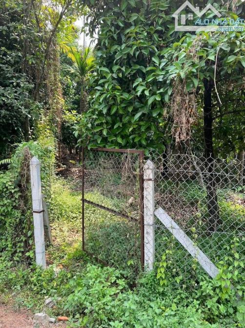 Bán 200m2 đất vườn cây ăn trái ở An Sơn, Thuận An gần bến đò An Sơn giá 3,8 tỷ