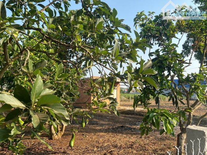 380M2 ĐẤT Ở, PHÙ HỢP AN CƯ NGHĨ DƯỠNG, TẠI ĐỨC TRỌNG, GIÁ CHỈ 1 TỶ 350 TRIỆU