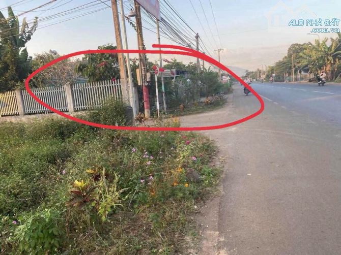 🌹 CCG Lô góc Mặt tiền đường DT765 Cẩm Mỹ, Đồng Nai