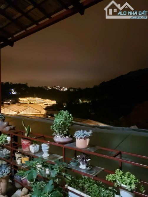 Bán nhà Trần Thái Tông, Phường 9, Đà Lạt – 1 trệt 1 lầu, sân đậu 3 ô tô, view đồi thông - 11
