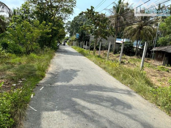 Bán 2500m2 đất mặt tiền đường nhựa phú tự - 1