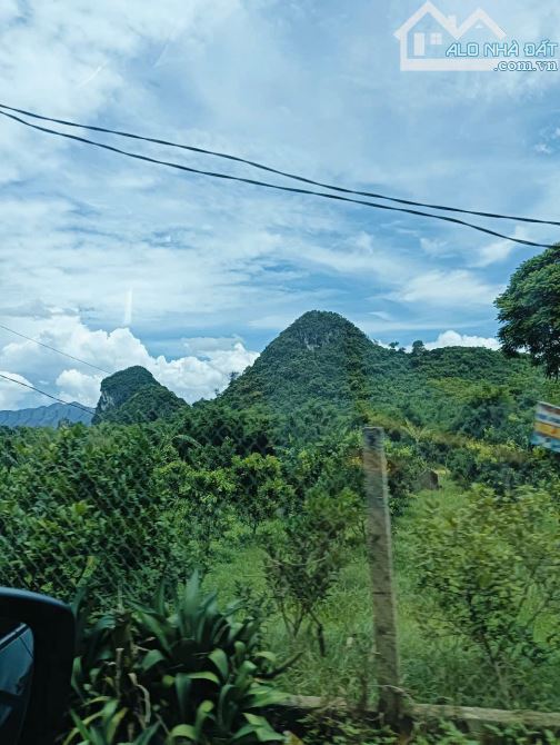 Cần bán lô đất 2633m - có 2480m đất ở - giá 4,x tỷ - sẵn vườn trồng cây ăn quả - 1