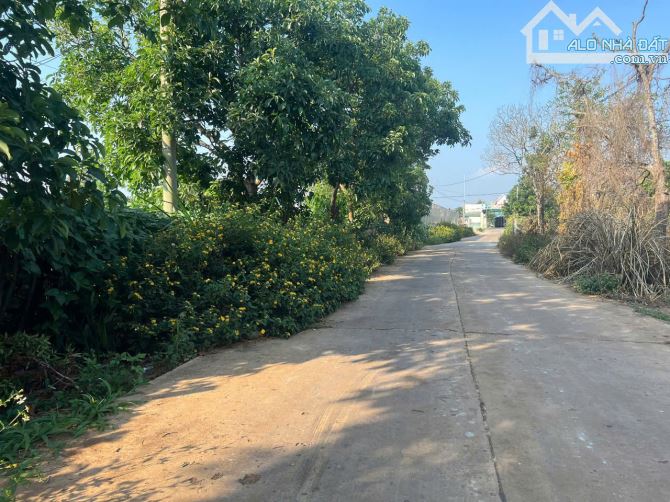 380M2 ĐẤT Ở, PHÙ HỢP AN CƯ NGHĨ DƯỠNG, TẠI ĐỨC TRỌNG, GIÁ CHỈ 1 TỶ 350 TRIỆU - 1