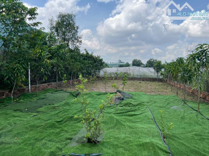 1,499 TỶ - LÔ ĐẤT 228m² SỔ RIÊNG FULL THỔ CƯ Gần Chợ Thiện Tân - Vĩnh Cửu, Đồng Nai - 1