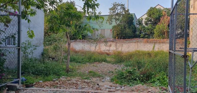 Đất đường Nguyễn An Ninh, phường Dĩ An, DT 759m2 giá 11,5 tỷ - 2