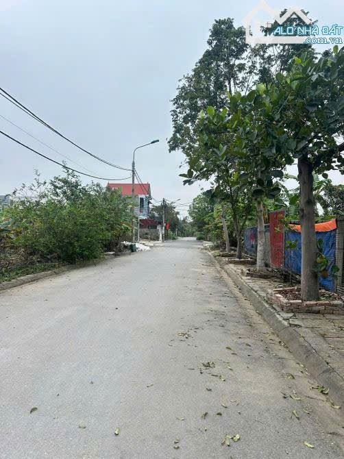 ❌ Bán 293m2 đất khu chung cư Cách Thượng, Nam Sơn, An Dương đường 2 oto tránh nhau - 2