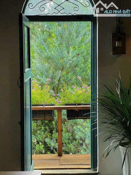 Bán Homestay Nguyễn Đình Chiểu, Phường 9, Đà Lạt – Cực xinh, gần Hồ Xuân Hương - 2