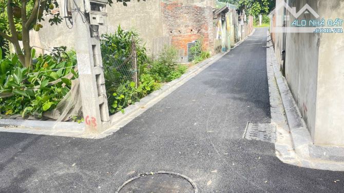 Bán đất Nam Hồng,Đông Anh lô duy nhất 40m hơn 2tỉ,ô tô ngủ trong đất - 2