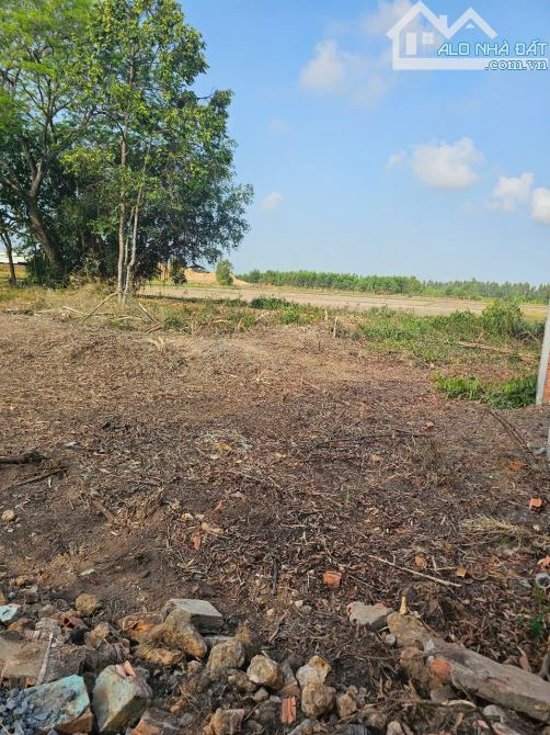 7000m2 đường đá xanh, Mỹ Thạnh Đông, Đức Huệ - 2
