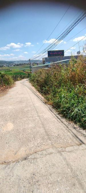 Đất tại Trung tâm Thị Trấn Liên Nghĩa 5x29 100m thổ cư giá 2 tỷ quá rẻ - 2