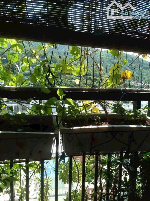 Cần bán căn hộ Vũng Tàu Center 3PN 105m2 full nội thất - 2
