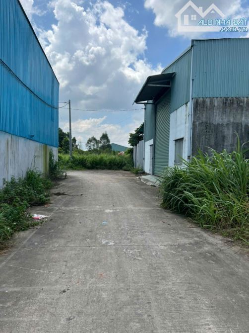 BÁN LÔ ĐẤT RỘNG 228m² SỔ RIÊNG FULL THỔ CƯ Gần Chợ Thiện Tân - Vĩnh Cửu, Đồng Nai - 2