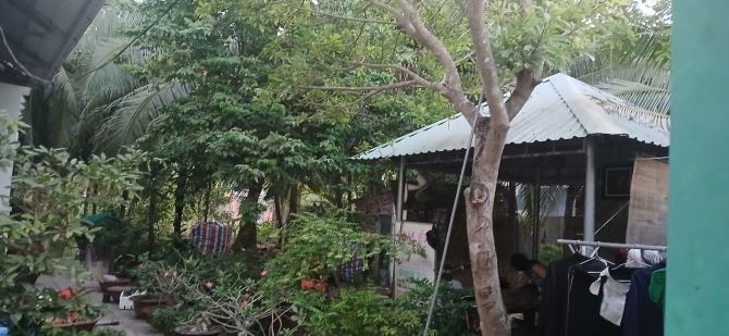 Cần bán Lô đất 2.400 tặng căn BIỆT THỰ SANG TRỌNG sát DT 870 dẫn Cầu Rạch miễu2.TG - 11