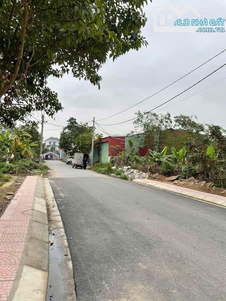 ❌ Bán 293m2 đất khu chung cư Cách Thượng, Nam Sơn, An Dương đường 2 oto tránh nhau - 3