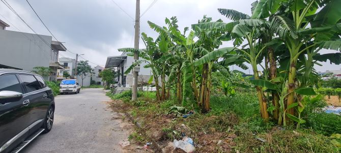 Đất đẹp thôn Kép – Hấn, gần Trường Chinh, nhà văn hóa, giá đầu tư - 3