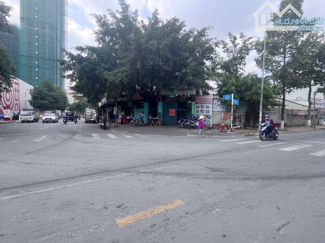 Biệt thự 555m² ốp full gỗ quý hiếm, 3 tầng, Võ Thị Sáu, kề Go, chỉ 22,5 tỷ - 3