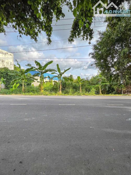 bán đất đường trương vĩnh nguyễn cái răng cần thơ, dtsd trên 1000m2, gần cầu ông tiêm - 3
