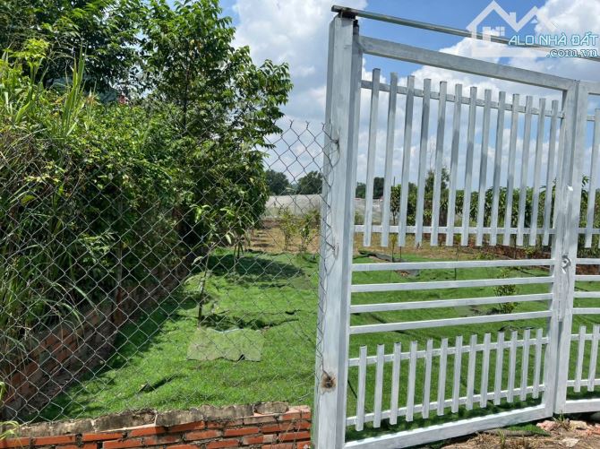 1,499 TỶ - LÔ ĐẤT 228m² SỔ RIÊNG FULL THỔ CƯ Gần Chợ Thiện Tân - Vĩnh Cửu, Đồng Nai - 3