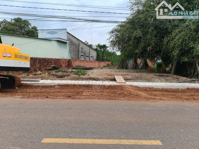 BÁN MẶT TIỀN 328 TÂN LÂM, XUYEN MỘC BÀ RỊA VŨNG TÀU, DY 1.1 HÉC GIÁ 38 TỈ, FULL HỒNG - 4